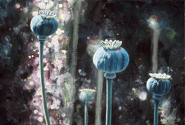 221 Poppy Pods