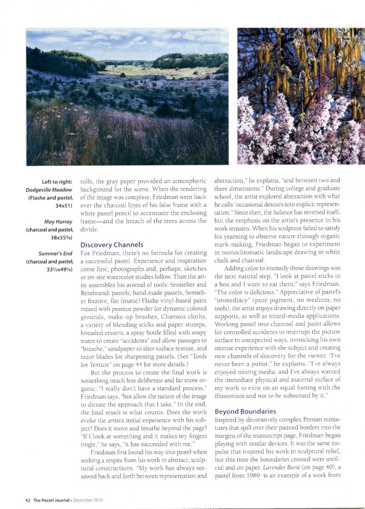  Pastel Journal - December 2010 p.42