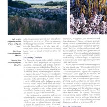  Pastel Journal - December 2010 p.42