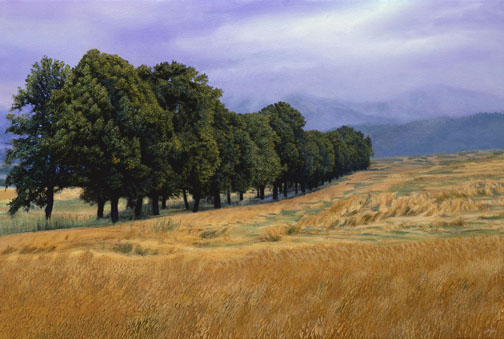 822 Alley of Trees 822 Alley of Trees